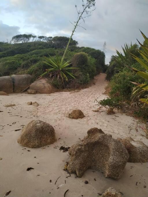 Apto 80M Da Praia Grande Vista Mar! Governador Celso Ramos Exteriör bild